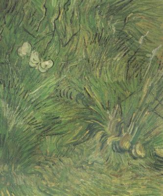 Vincent Van Gogh Two White Butterflies (nn04)